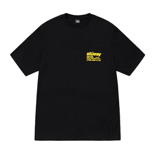 STÜSSY Dna Pigment Dyed Tee