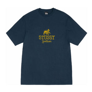 STÜSSY Sportswear Tee