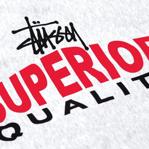 STÜSSY Superior Quality Zip Hoodie